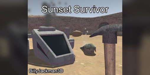 Cover image for Sunset Survivor