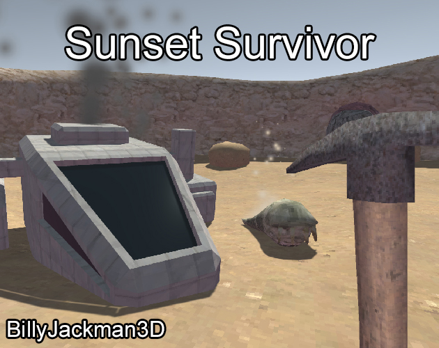Cover image for Sunset Survivor