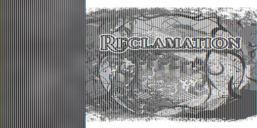 Cover image for Reclamation