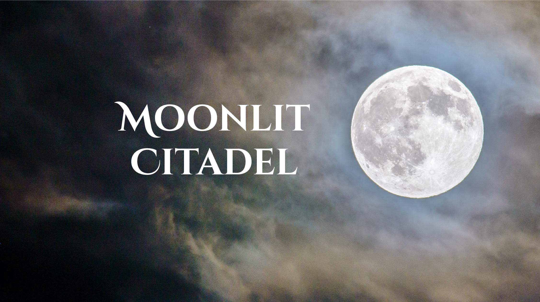 Cover image for Moonlit Citadel