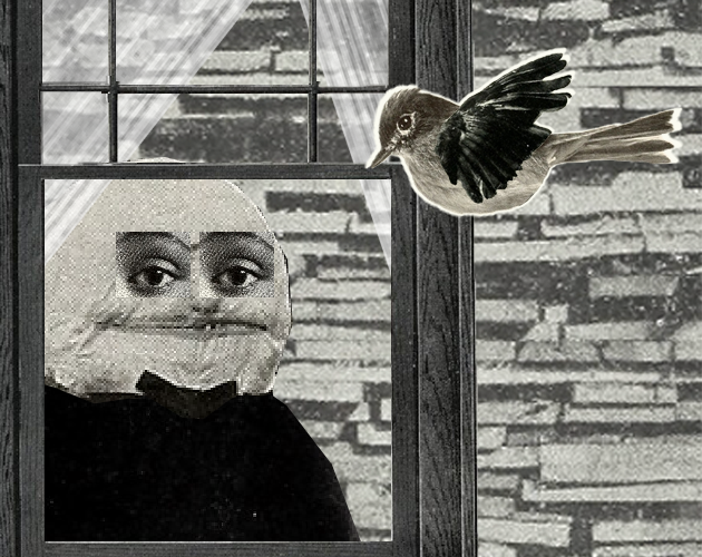Cover image for At The Window