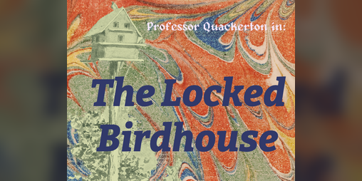 Cover image for Professor Quackerton in: The Locked Birdhouse