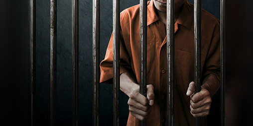 Cover image for Reformed