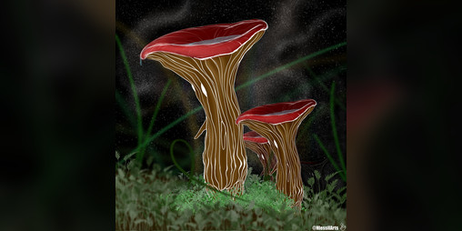 Cover image for MUSHFOLKS: A d100+ Mushroom Person Generator