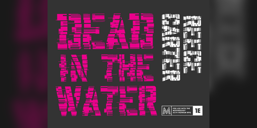 Cover image for Dead in the Water