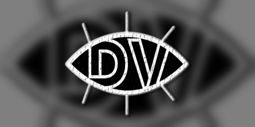 Cover image for Dual Vision