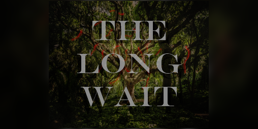 Cover image for The Long Wait