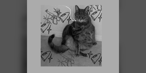 Cover image for zine of my cat with quotes from "the big sleep"