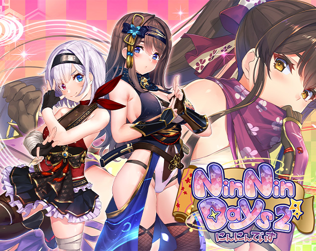 Cover image for NinNinDays 2