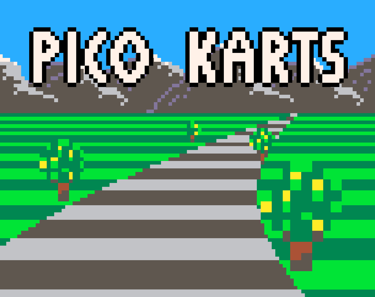 Pico Karts
