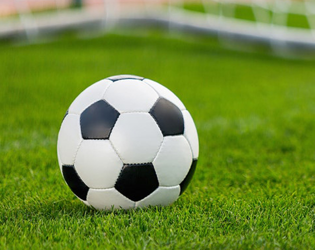 soccer team registration sample forms