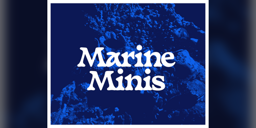 Cover image for Marine Minis