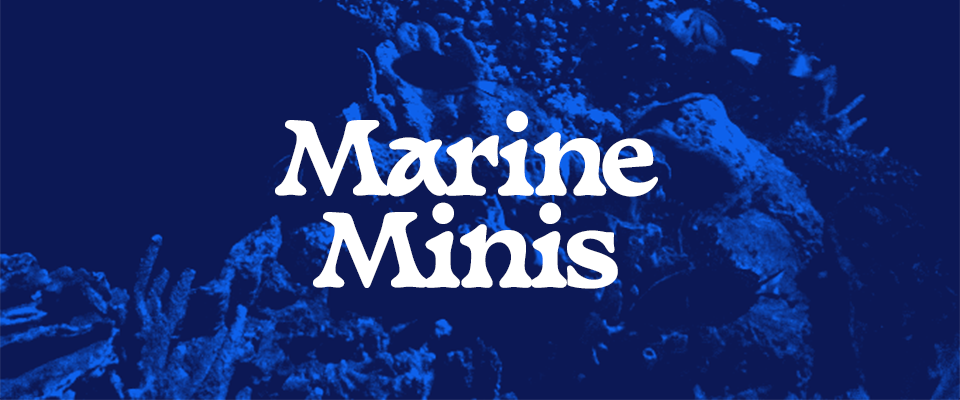 Marine Minis