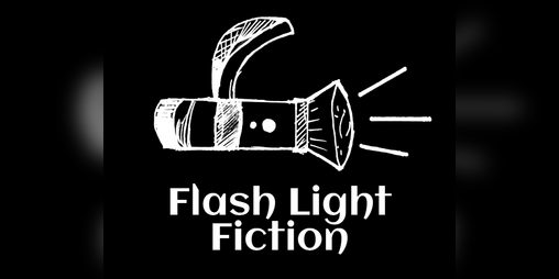 Cover image for Flash Light Fiction