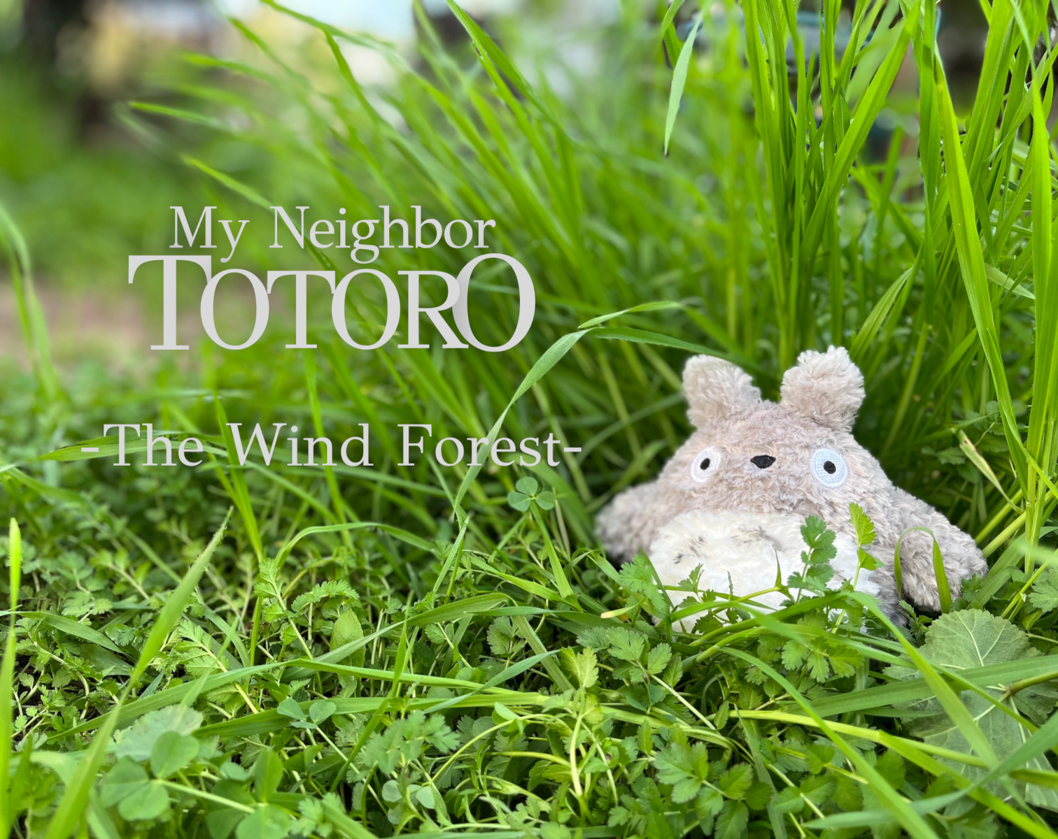 The Wind Forest - My Neighbor Totoro