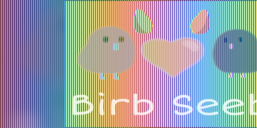 Cover image for Birb Seeb