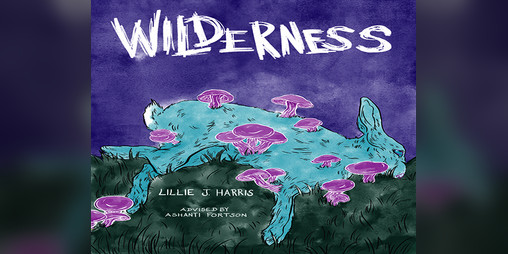Cover image for WILDERNESS