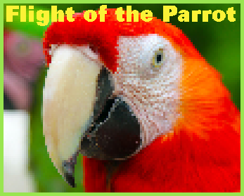 Flight of the Parrot