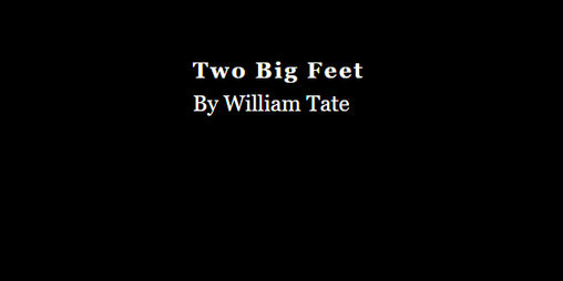 Cover image for Two Big Feet