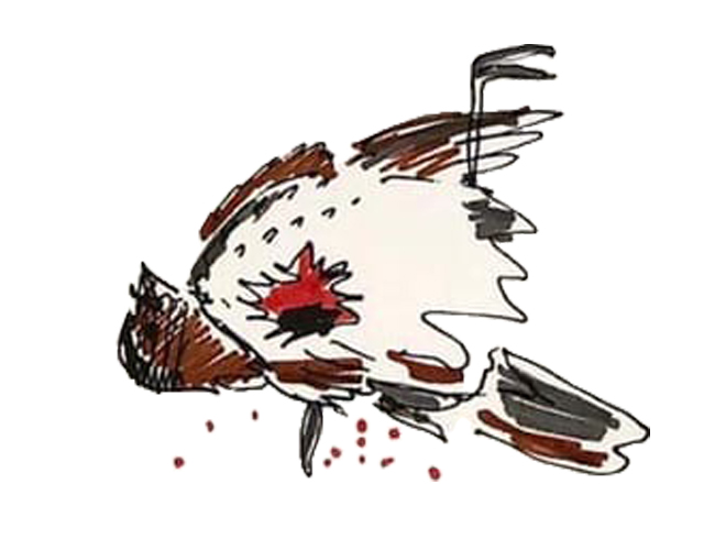 Cover image for "Засада"