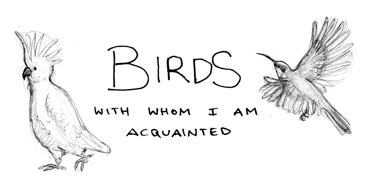 Birds with whom I am acquainted