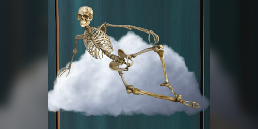 Cover image for Secret Skeleton Society