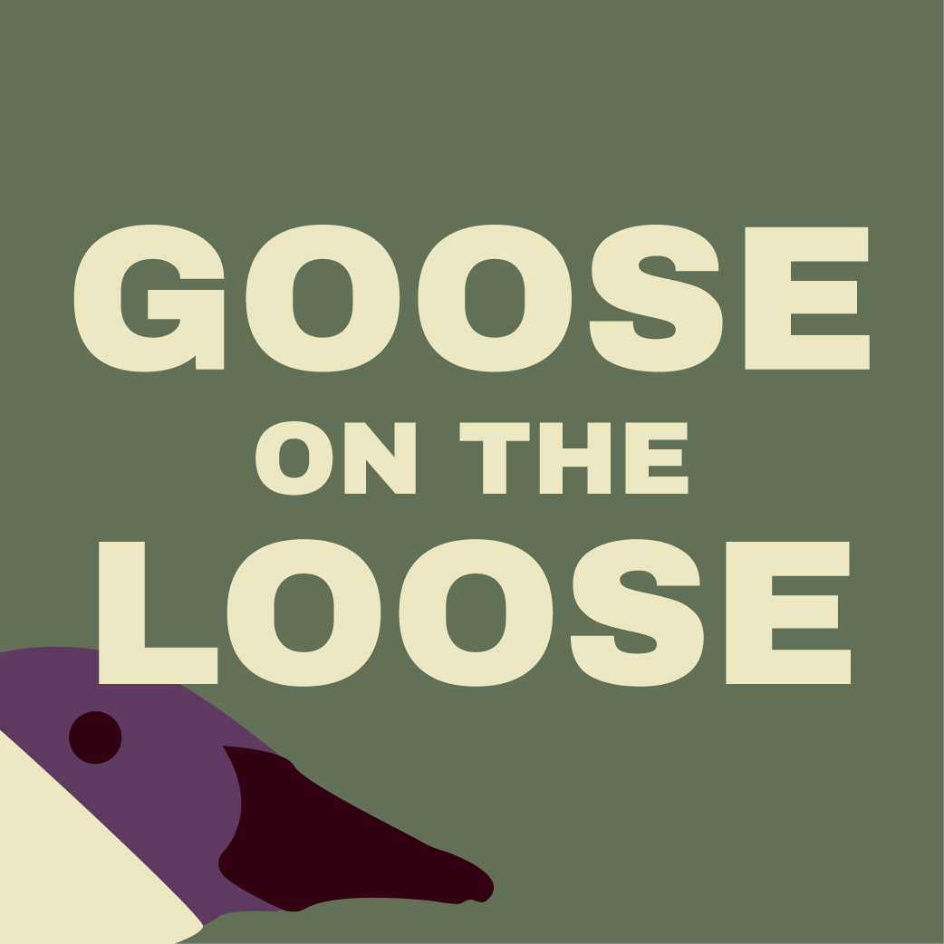 Goose on the Loose by bideogame