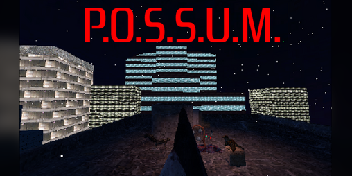 Cover image for P.O.S.S.U.M.