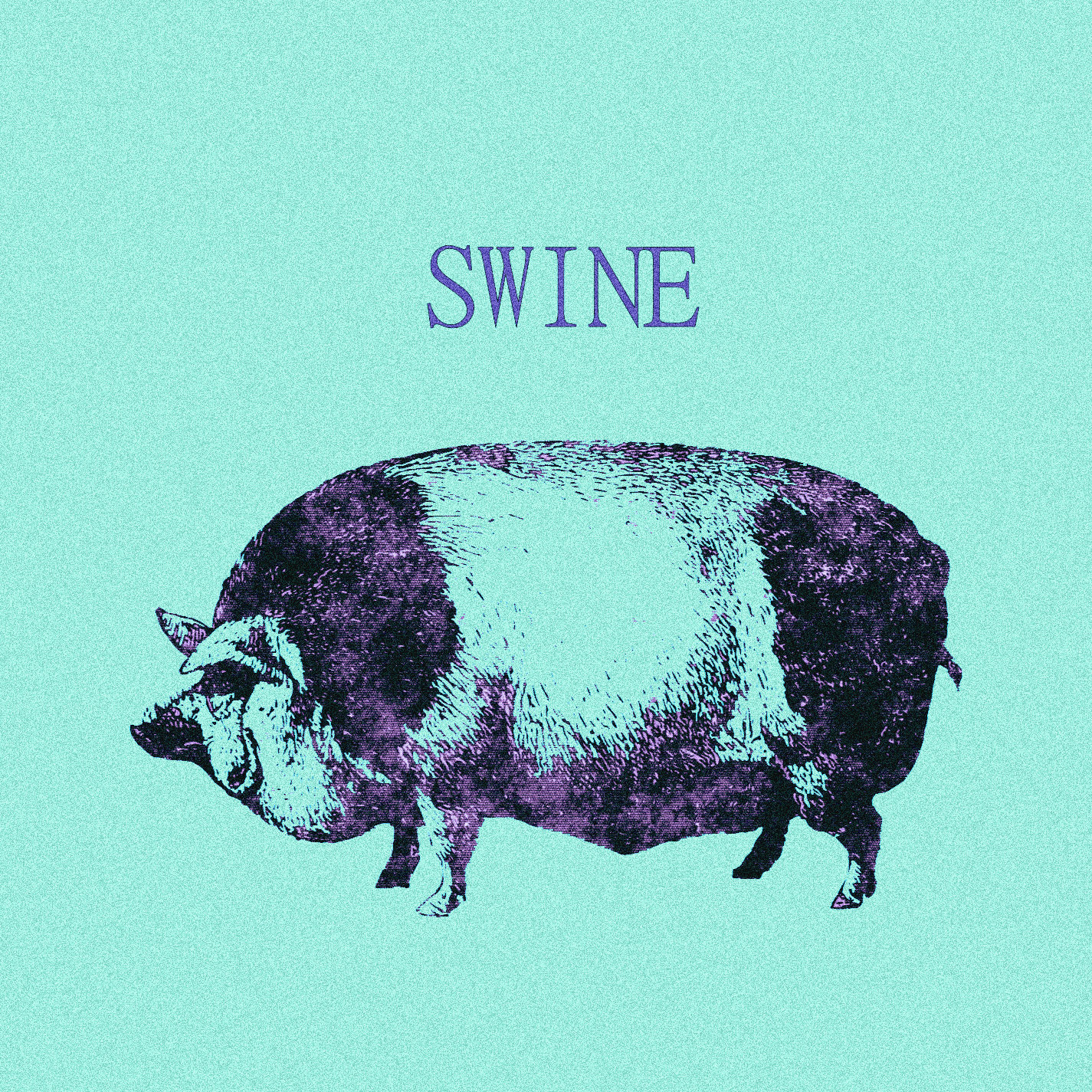Cover image for Swine