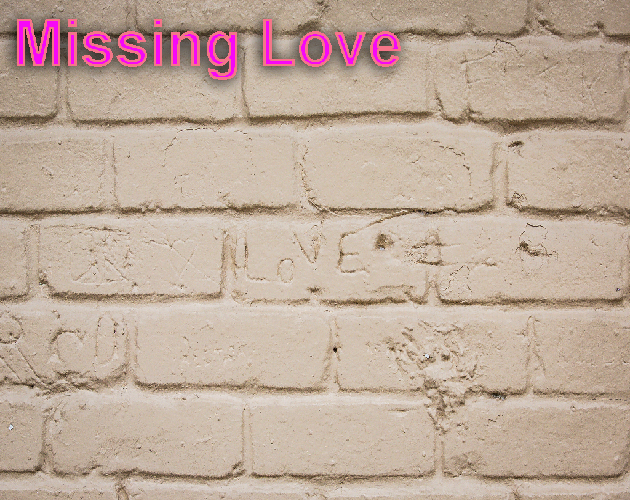 Missing Love