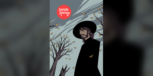 Cover image for Sarota Springs