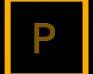 PalmPaint
