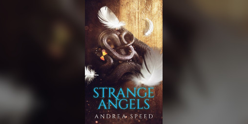 Cover image for Strange Angels
