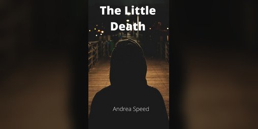 Cover image for The Little Death