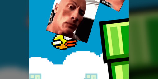 Cover image for sus bird