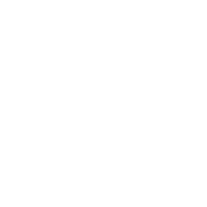 PROJECT FOREST MADNESS