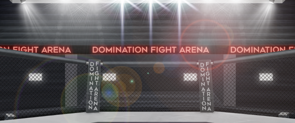 Domination Fight Arena