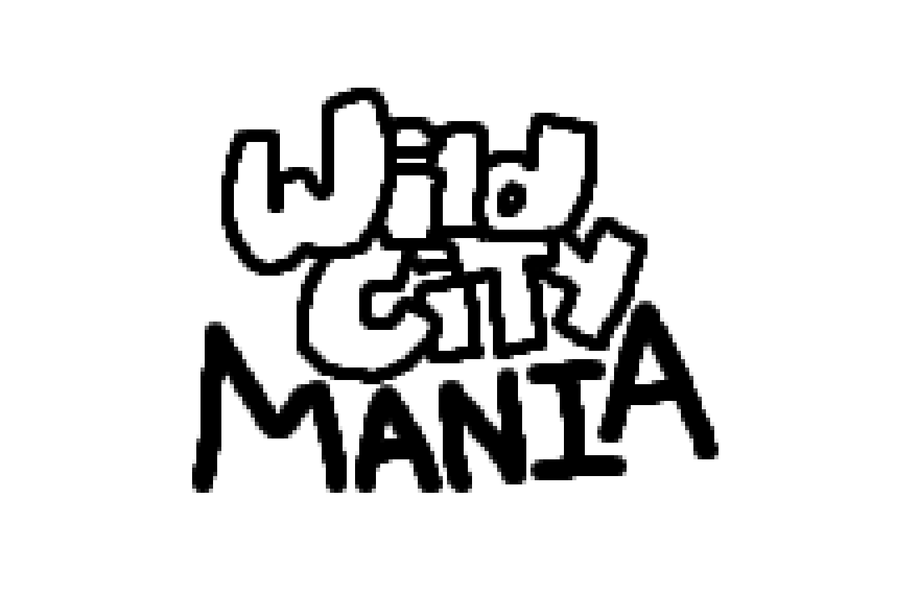 Cover image for Wild City Mania