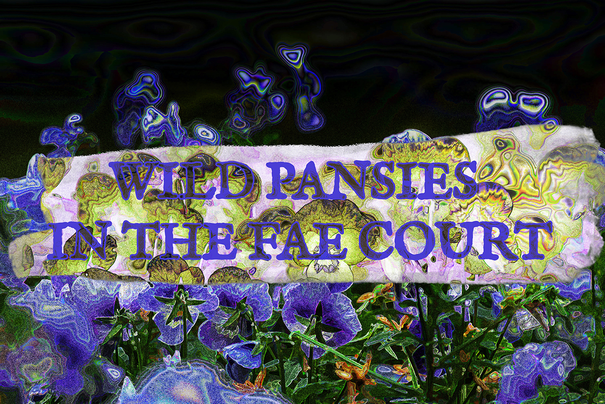 Wild Pansies in the Fae Court