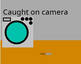 Caught on camera