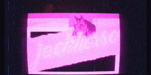 Cover image for Jackhorse