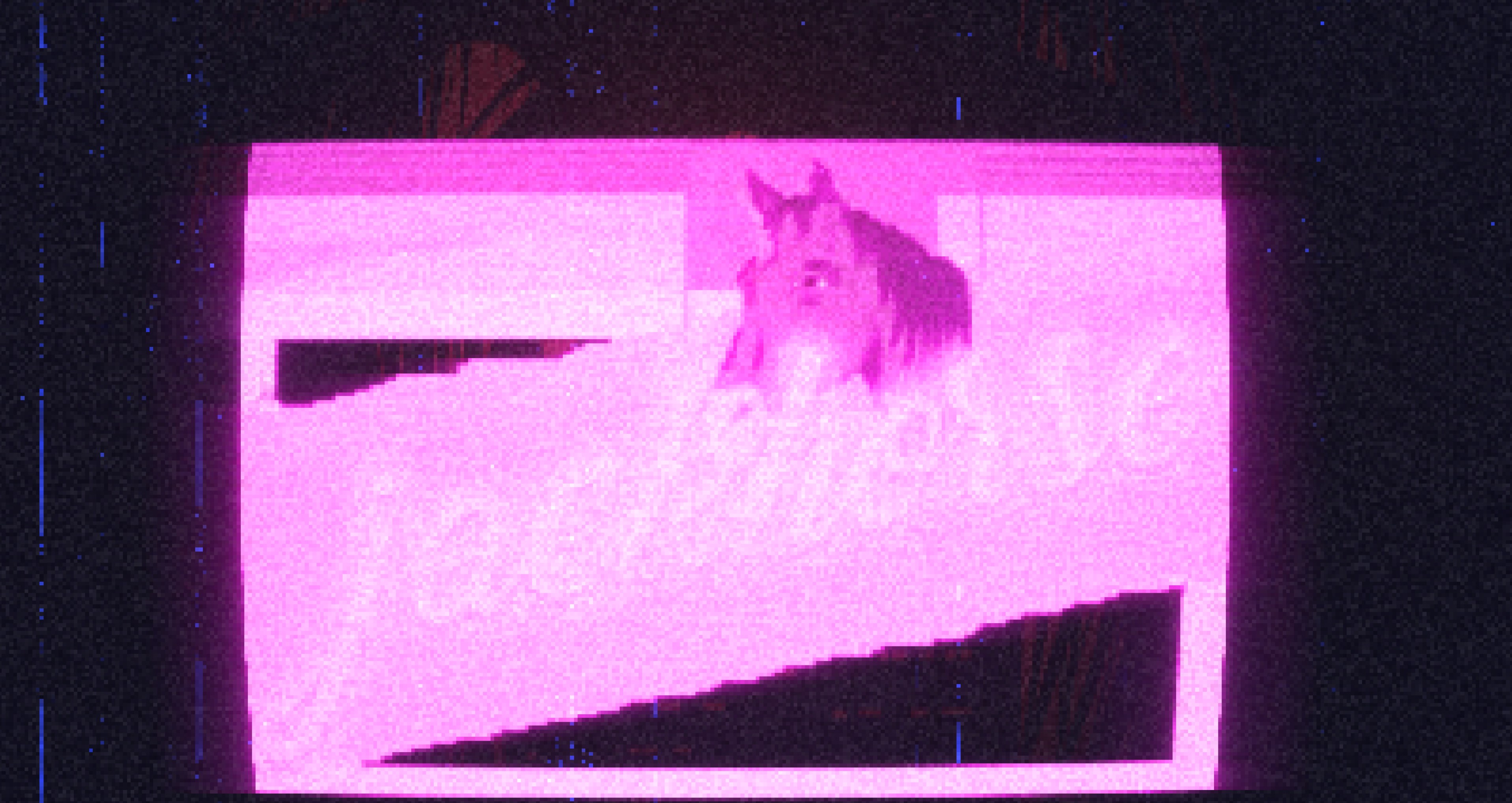 Cover image for Jackhorse