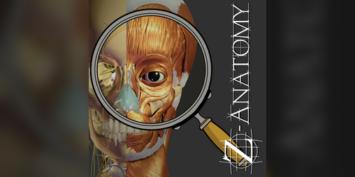 Cover image for Z-Anatomy - Open Source 3D Atlas