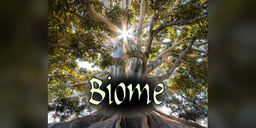 Cover image for Biome