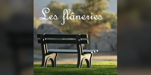 Cover image for Les flâneries