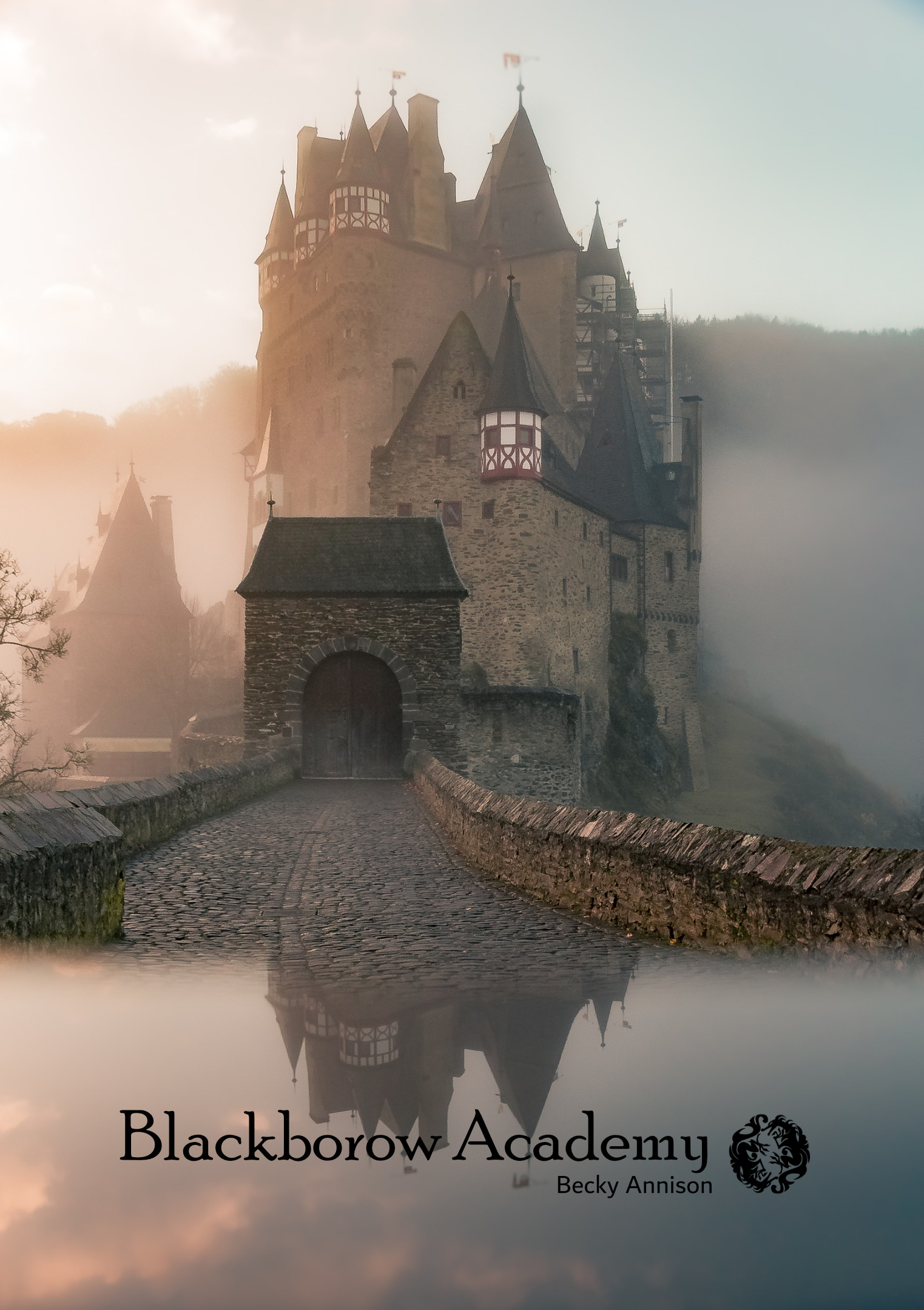 Cover image for Blackborow Academy