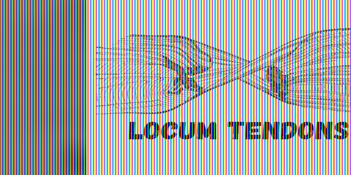 Cover image for Locum Tendons