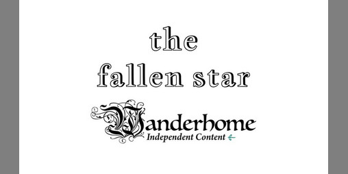 Cover image for WANDERHOME NATURE - THE FALLEN STAR