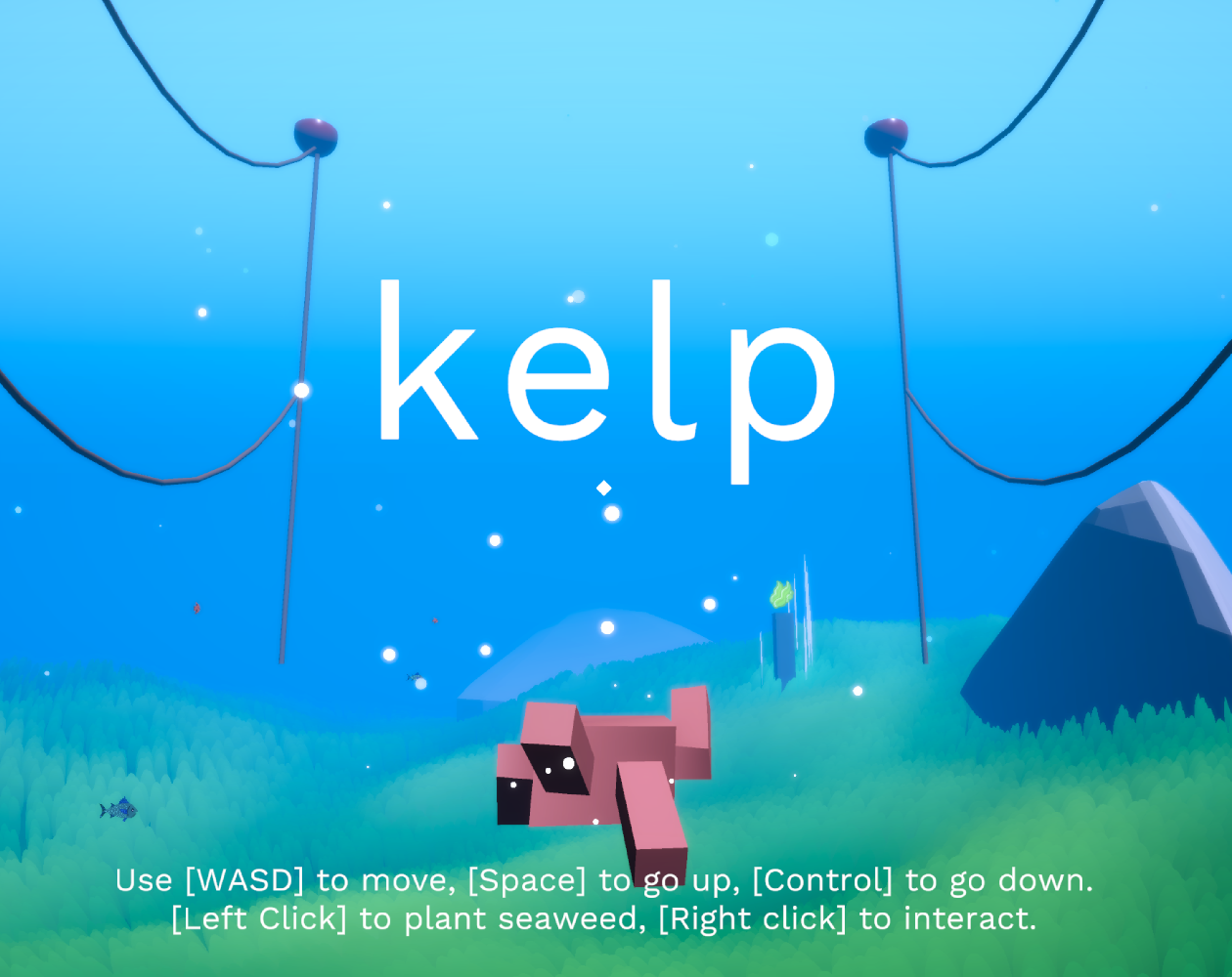 Kelp