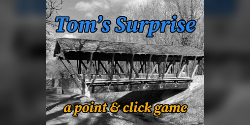 Cover image for Tom’s Surprise